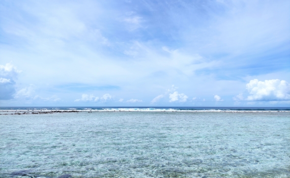 В Мексике очевидцы не смогли спасти тонущую женщину