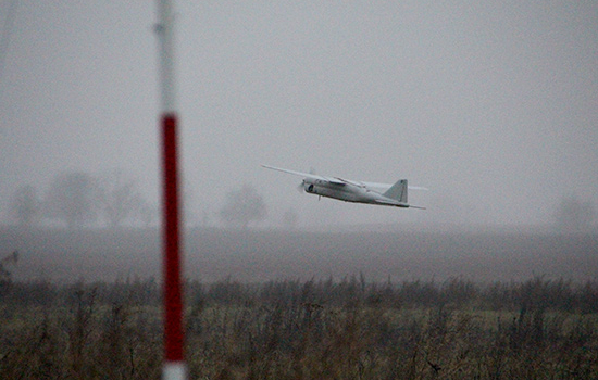 Военно-криминальные элементы с Украины расползаются по всему миру